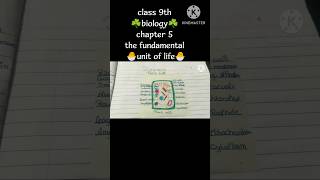 class 9 biology ch 5 The fundamental unit of life🦠Plant cell vs animal cell ☘️diffusion vs osmosis [upl. by Siuqcram]