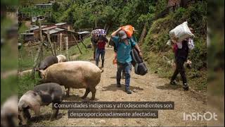 Documental desplazamiento forzado en colombia [upl. by Ainoek]