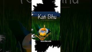 Kati bihu statusvideo🙏🌾 Happy kati bihu all❤️ kati bihu WhatsApp statusvideo 2024 bihuasamese [upl. by Fallon]