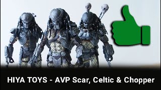 Hiya Toys AVP Scar Celtic and Chopper Figures Review [upl. by Dell]