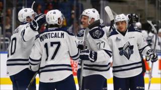 Rimouski Océanic Goal Horn 20162017 [upl. by Yemac]