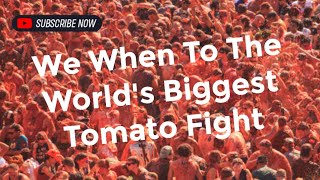 Mindblowing Thousands bathe in tomato sauce at La Tomatina [upl. by Assiral]