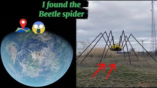 The beetle spider in the universe 🕸️🤯😳 [upl. by Eanerb]