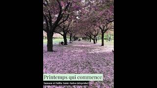 Printemps qui commence  Samson et Dalila by Camille SaintSaëns [upl. by Letrice]