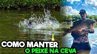 COMO FAZER PARA MANTER O TAMBA NA CEVA [upl. by Adirem572]