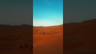 Discover the Magic of Morocco Serene Camel Ride Through Stunning Desert Dunes [upl. by Name]