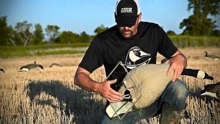 NEW for 2012 Avian X AXF and AXP Fullbody Honker Decoys [upl. by Fortunio941]