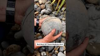 Cracking open coastal stones for Jurassic fossils fossil hunting coast beach [upl. by Acilgna482]