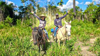 Olhando uma Terra para comprar [upl. by Lorilee250]