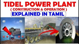 Tidel Power Plantவேலை செய்யும் விதம் Construction And Operation  Explained In Tamil [upl. by Emixam]