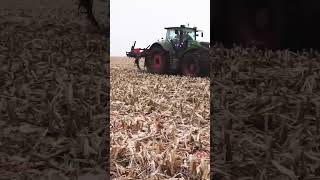 Precision Field Work in Fall Fendt 1050 Vario Techniques 🌾 [upl. by Tryck12]