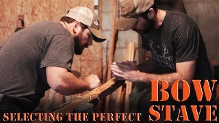 Primitive Bow Building for Beginners  selecting a selfbow stave [upl. by Delija104]