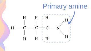 Amines Organic Bases Boiling Point and Solubility in Water  HSC Chemistry [upl. by Eniad962]