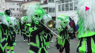 Rosenmontagsumzug 2018 in Böblingen [upl. by Braynard]