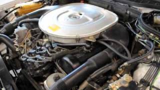 MercedesBenz 560sec W126 Buyers Guide pt2 [upl. by Drofdeb]