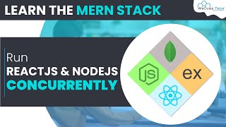 Run ReactJS and NodeJS in One Terminal  Concurrently  MERN Stack [upl. by Niwle7]