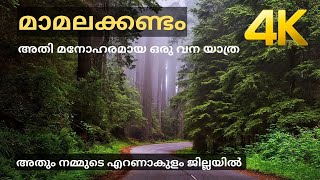 മാമലക്കണ്ടം വനയാത്ര 4K [upl. by Akinar]