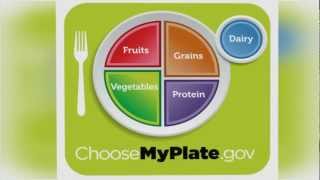 How to Eat Healthy Using My Plate [upl. by Gelasius474]