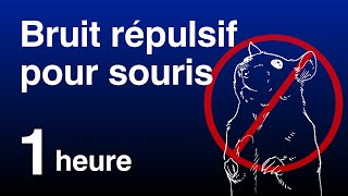 Bruit Répulsif pour Souris et Rats  Son Ultrasonore Inaudible Non compatible avec iPhone [upl. by Yotal952]