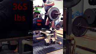 365 pound bench press bench benchpress benchwork benchpressworkout upperbodyworkout chest [upl. by Stephenson127]