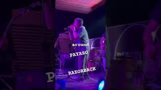 PAYASO RAZORBACK LIVE BEVITORE SANTAROSA youtubeshorts pinoyrock ytreels [upl. by Ariamoy]