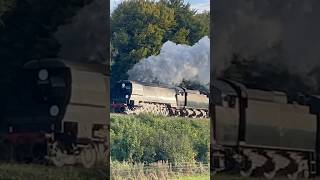 Steam Train in perfect evening sunlight steamengine steamtrain trainspotting steam railway [upl. by Rednirah]