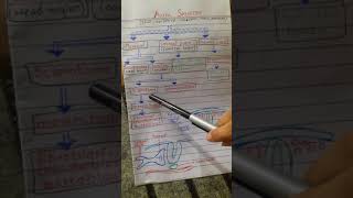 Axial skeleton development embryology easily explained [upl. by Noroj]