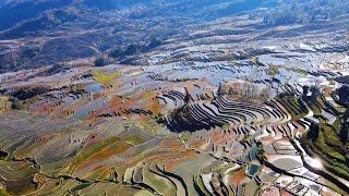 Avanzar hacia el desarrollo sostenible La sabiduría ecológica de las terrazas milenarias [upl. by Asilim]