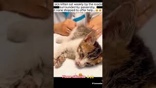 Rescued kitten Part 1 kitten catrescue hearttouching heartwarming petrescue [upl. by Taveda]