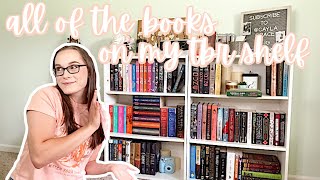 All of the books on my tbr shelf [upl. by Ahsataj]