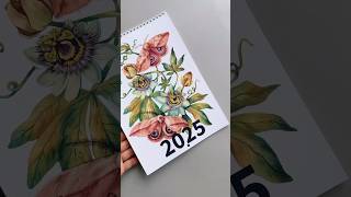 calendar artcalendar illustrated watercolorpainting butterfly moth flowers [upl. by Amikahs501]