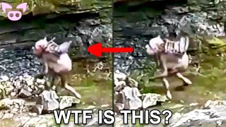 Creepy Stuff Caught on Camera You Wont Believe [upl. by Ardnusal]