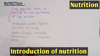 introduction to nutrition  Class 11 Biology [upl. by Clarey]