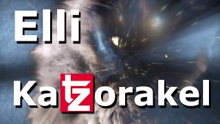 Elli das KaTZorakel Sie weiß wer gewinnt Trailer [upl. by Dnartreb]