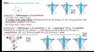 Herz 9 EKG 2  Ableitungen P und PQ [upl. by Giardap]