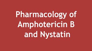 Pharmacology of Amphotericin B and Nystatin ENGLISH  Dr Shikha Parmar [upl. by Jarad]