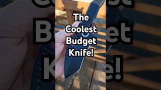 Coolest Budget Knife In My Collection budgetknife edgedmindset kizerknives edgedmindset [upl. by Yard424]