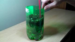 2 liter bottle self watering experiment DIY [upl. by Nonarb]