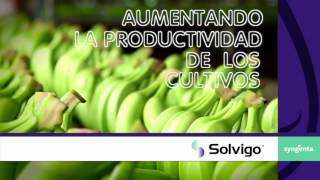 SOLVIGO  SYNGENTA [upl. by Brynne787]