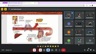 Clase 3 Endocrino [upl. by Vanda]