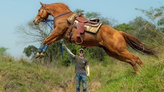 MECATE REINSWhy I Use Them The ULTIMATE trail riding reins [upl. by Sicular222]