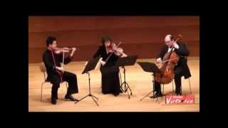 Mozart Divertimento KV 563 Andante [upl. by Foah]