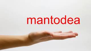 How to Pronounce mantodea  American English [upl. by Ikey]