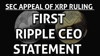 SEC FILES XRP APPEAL CEO OF RIPPLE MAKES FIRST REMARK quotTHE MESSAGE HASNT REACHED THEM YET [upl. by Ajani]