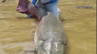 Massive alligator gar caught in Texas breaks world record [upl. by Ruby244]