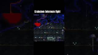 Terraria calamity infernum crabulon fight [upl. by Llennahc290]