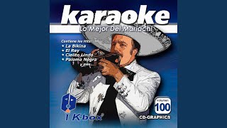 No Volveré Karaoke Version [upl. by Millman]