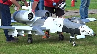 RC Modellflugzeuge beim Flugtag Kehl Sundheim 2016  Modellflug Show [upl. by Ayotyal199]