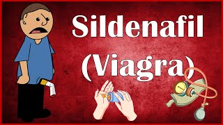 Sildenafil Viagra  Uses Dosage Mechanism Of Action Pharmacokinetics amp Adverse Effects [upl. by Herr]