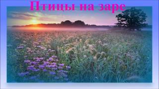 Несравненное Пение Птиц amp Заря  Beautiful Dawn Birds Singing [upl. by Carpenter]